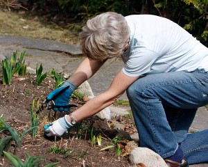 Gardening